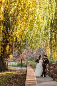 Wedding Bride LGBT Gay Fall