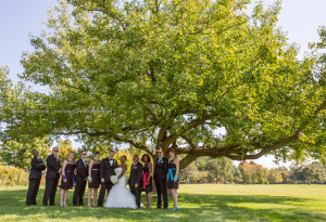 Wedding Bridal Party Tree
