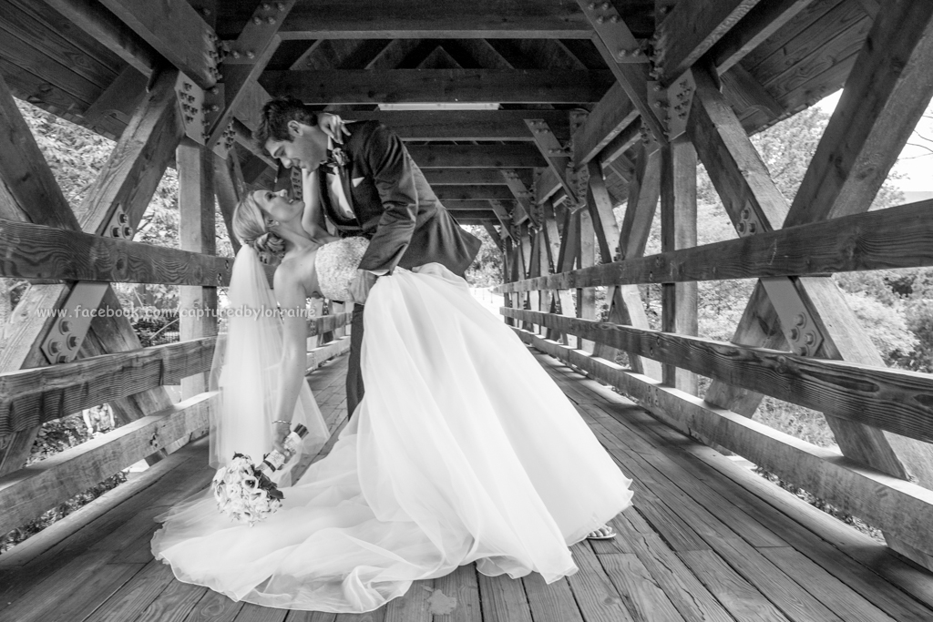 32 Bride Groom Wedding Bridge Naperville