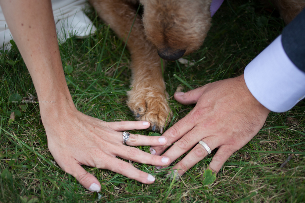 Bride groom hands dog paw