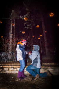 Proposal, engagement, morton arboretum, Illumination