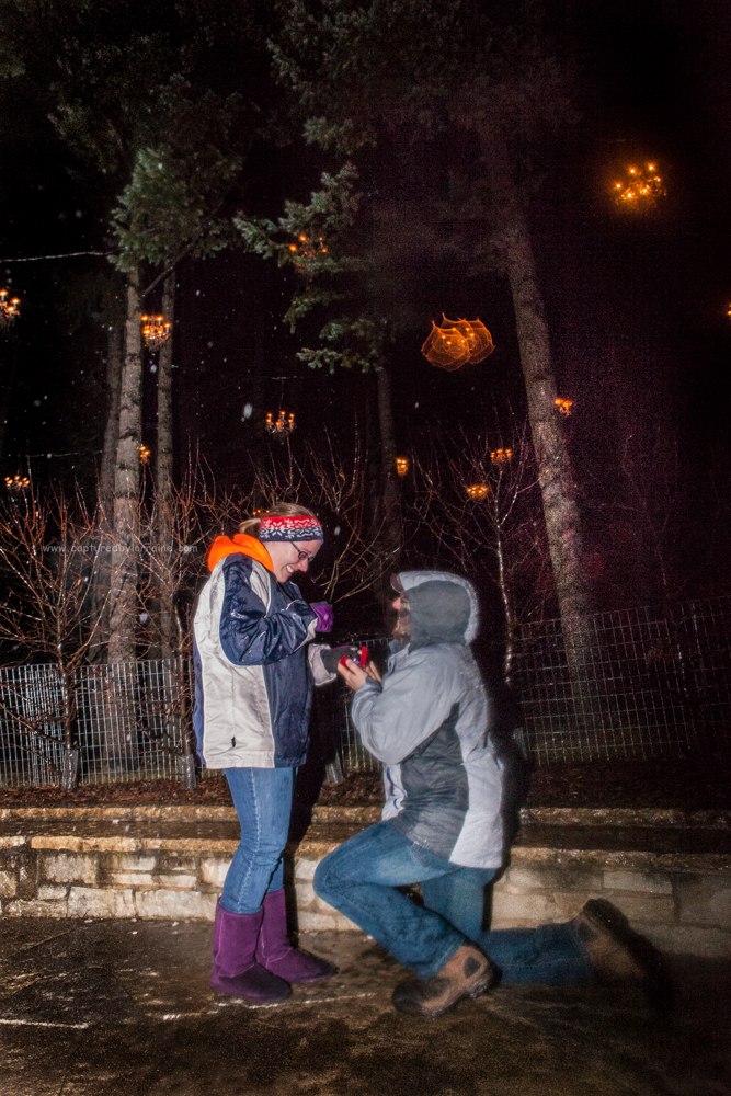 Proposal, surprise, Morton Arboretum, Illumination