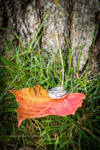 St Charles Fall Engagement Session. Ring