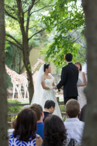 Brookfield Zoo Wedding, Batavia Il wedding photographer