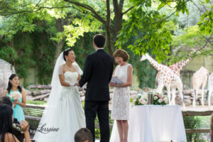 Brookfield Zoo Wedding, St Charles Il wedding photographer