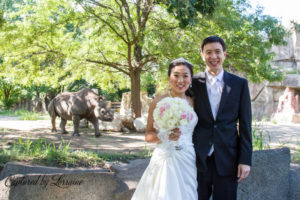 Brookfield Zoo Wedding, Batavia Il photographer