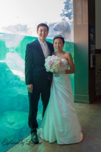 Brookfield Zoo Wedding, Batavia Il wedding photographer