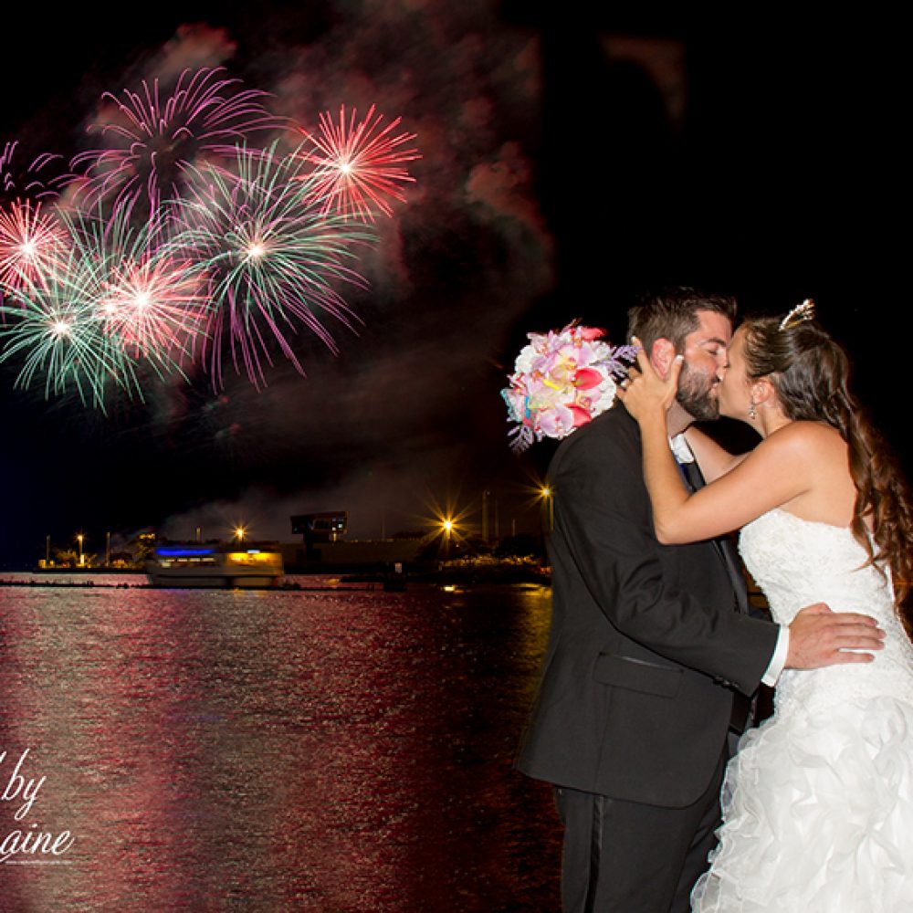 fireworks-wedding-photo-illinois