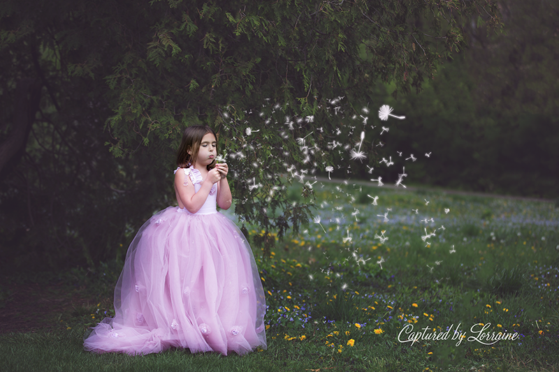 St Charles Il Fine Art Children Photographer