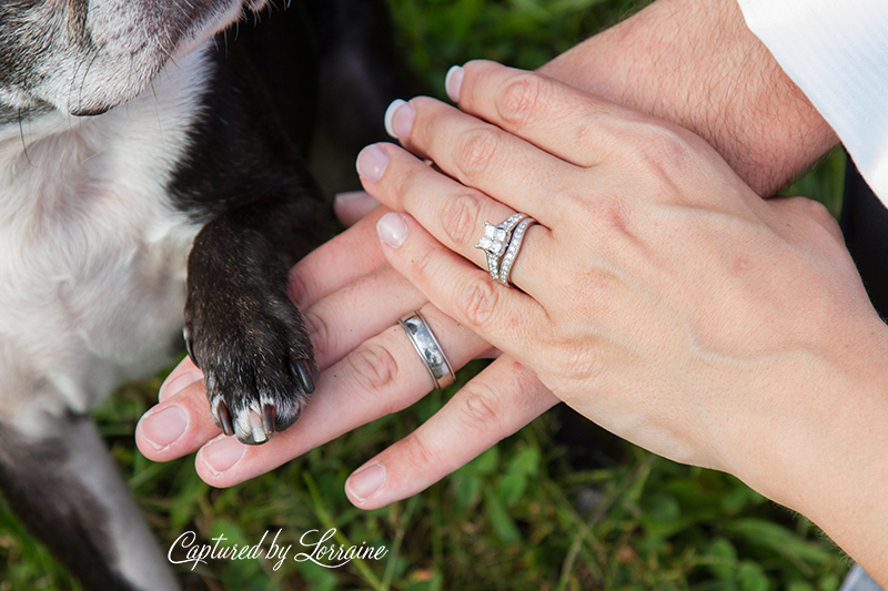 wedding-photo-dog-illinois