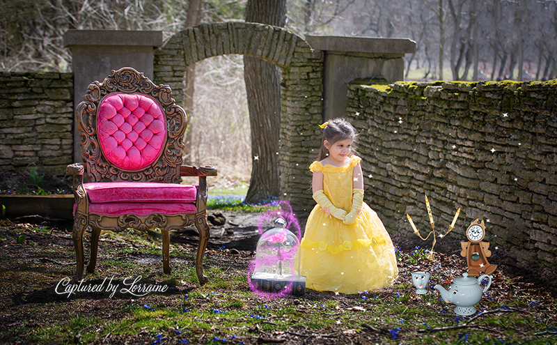 Beauty and the Beast photoshoot St Charles Il Photorapher
