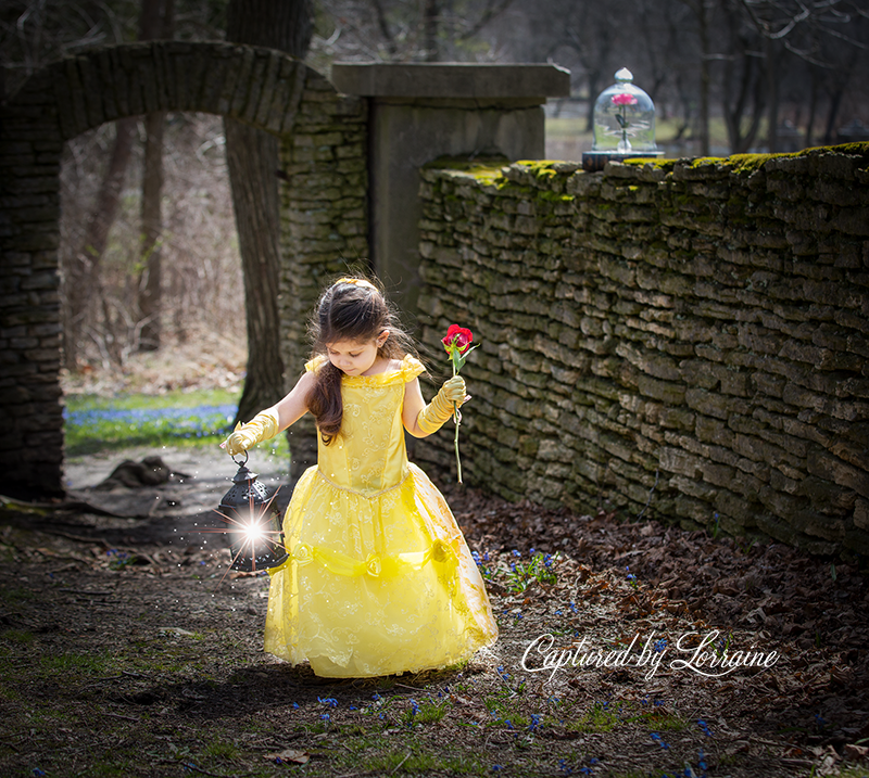 Beauty and the Beast photoshoot St Charles Il