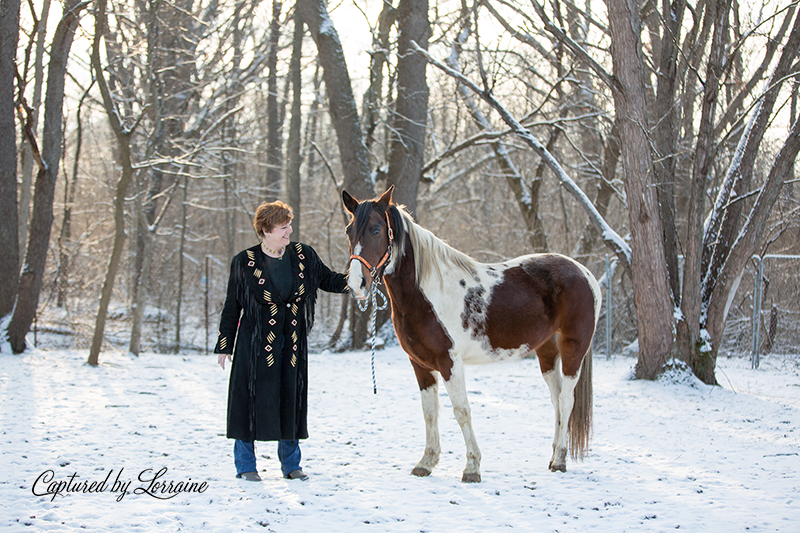 Illinois Horse Portraits