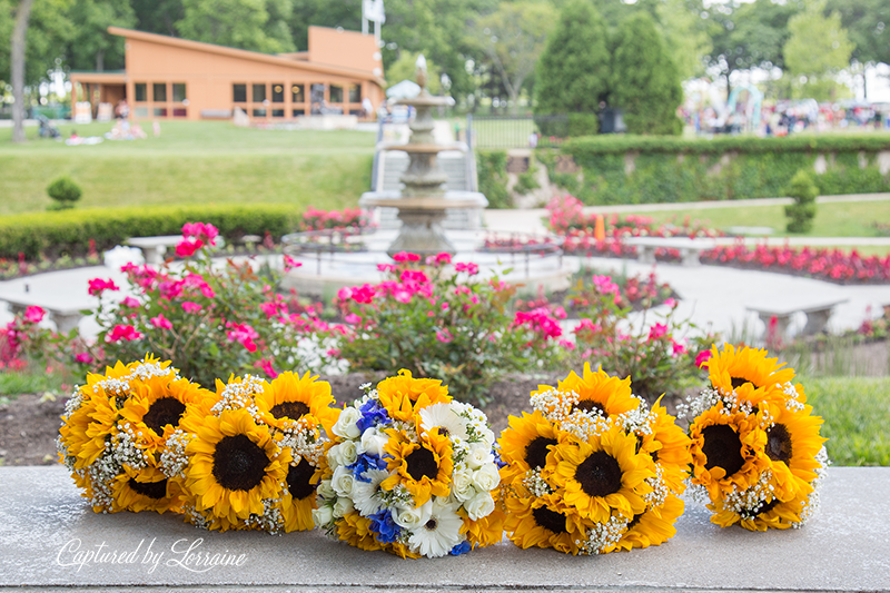 Phillips Park sunken garden Wedding