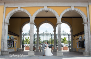 Brookfield Zoo Wedding Photographer