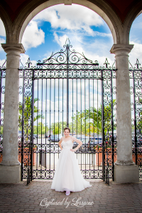 Brookfield Zoo Wedding Photographer