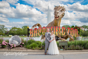 Brookfield Zoo Wedding Photographer