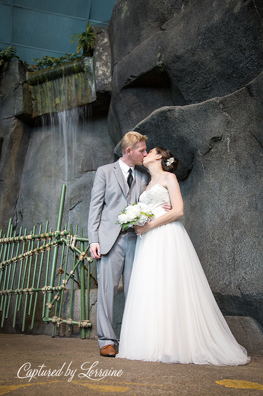 Brookfield Zoo Wedding Photographer