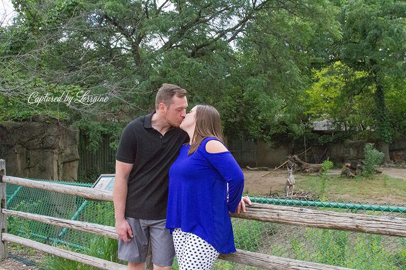 Lincoln Park Zoo Engagement