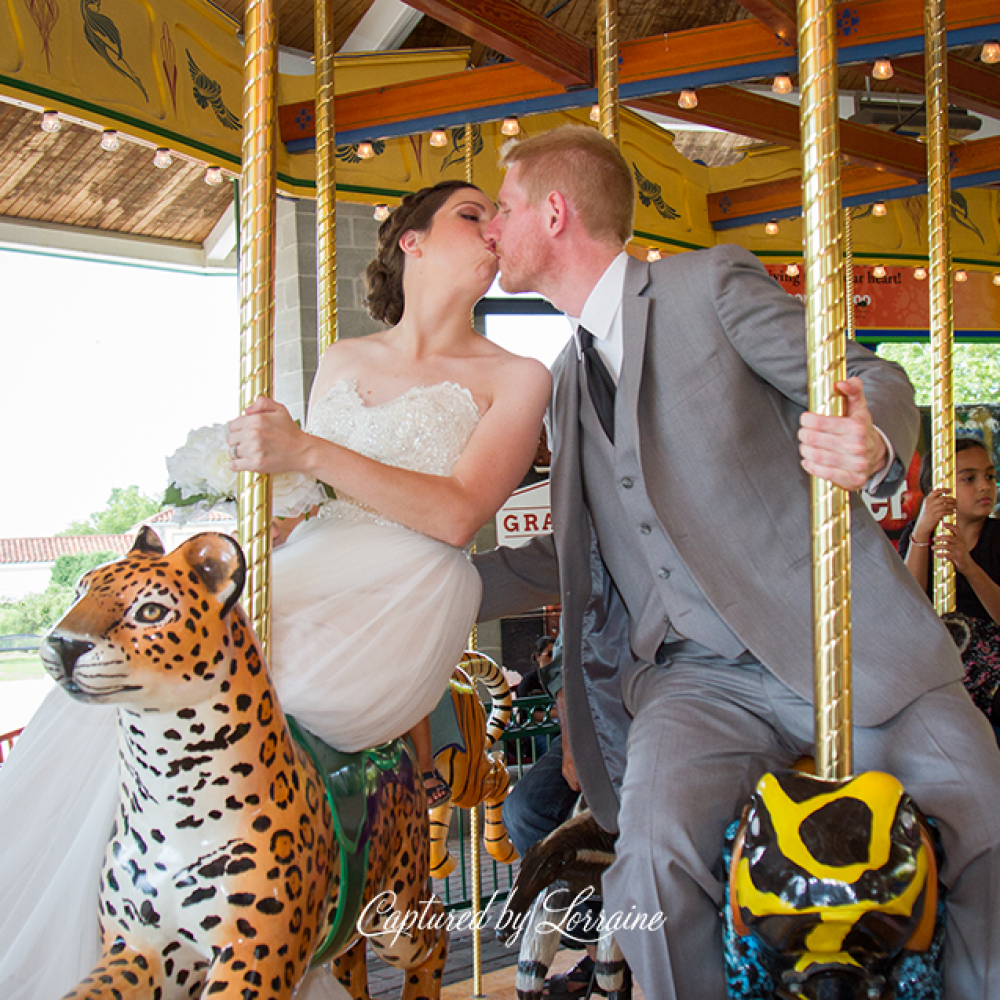 Brookfield Zoo Wedding Photographer