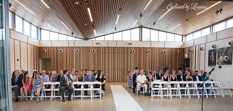 Brookfield Zoo Wedding Photographer