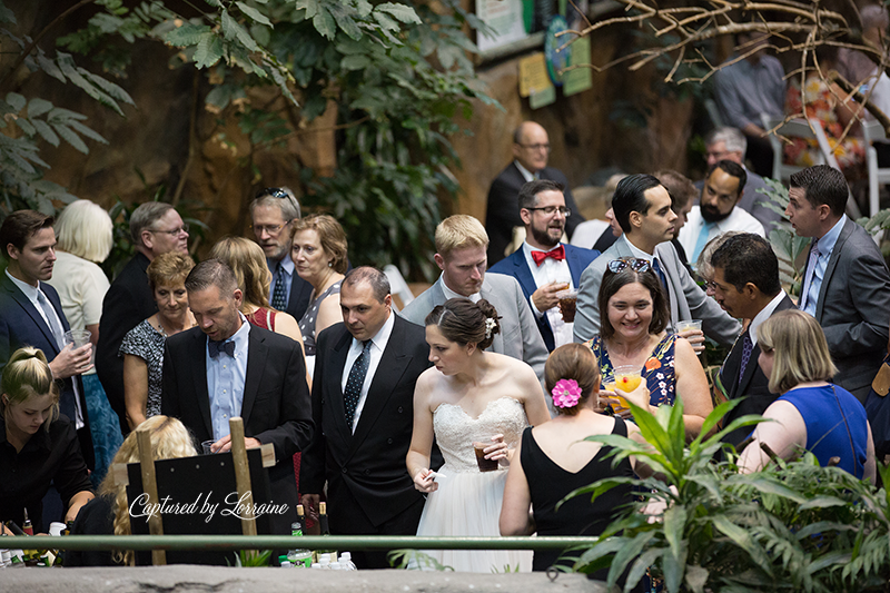 Brookfield Zoo Wedding Photographer