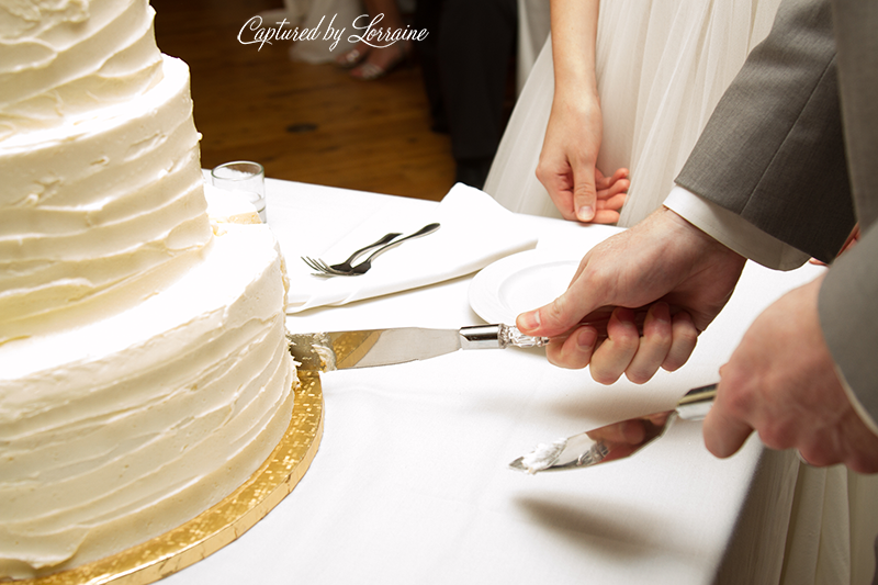 Brookfield Zoo Wedding Photographer