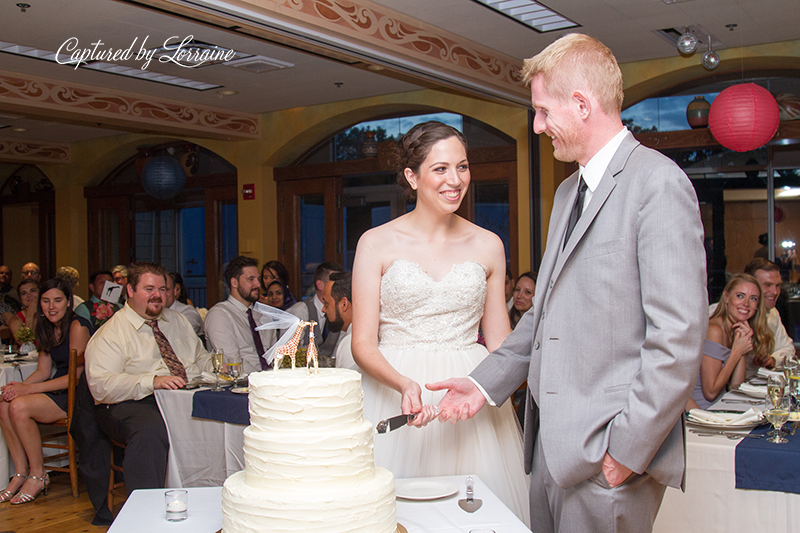 Brookfield Zoo Wedding Photographer