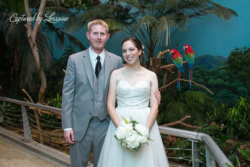 Brookfield Zoo Wedding Photographer