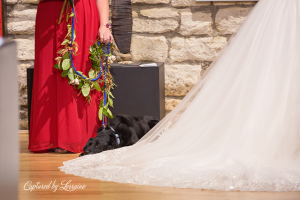 Wedding with Dogs