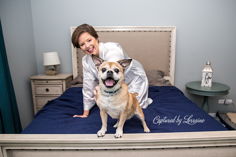 Wedding with Dogs