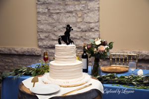 St charles Il Wedding Photographer