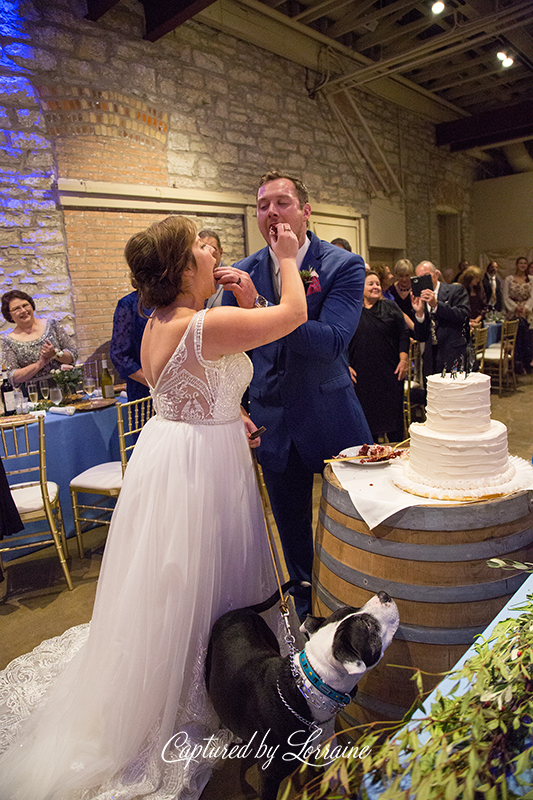 Wedding with Dogs