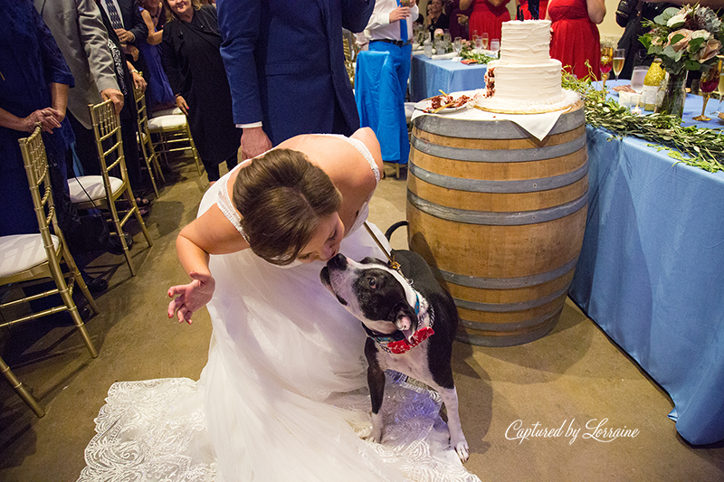 Wedding with Dogs